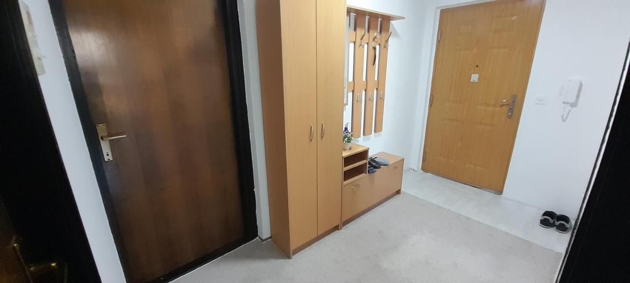 Cozy And Sunny Apartment Near The Airport サラエヴォ エクステリア 写真
